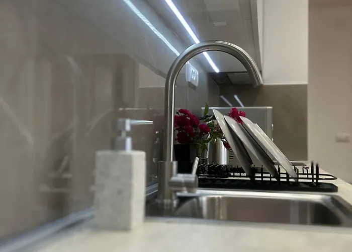 Shani 公寓 兹拉蒂博尔