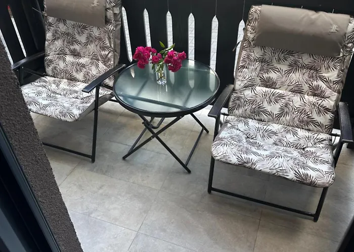 Shani 兹拉蒂博尔