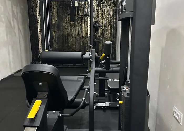 Shani 兹拉蒂博尔